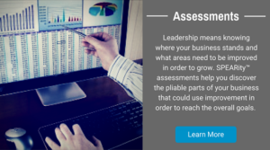 SPEARity assessments