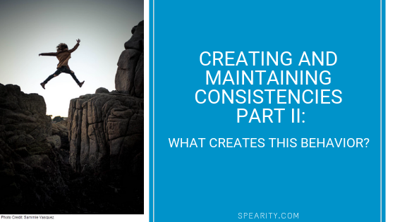 Creating and Maintaining Consistencies  Part II – What?