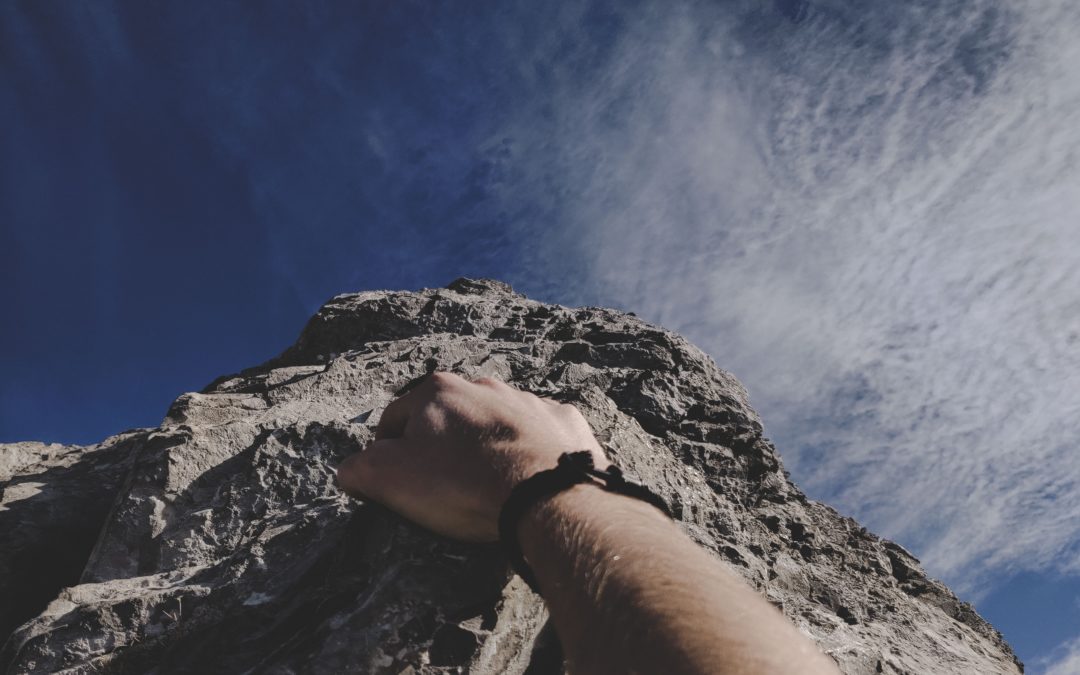 effort towards business success