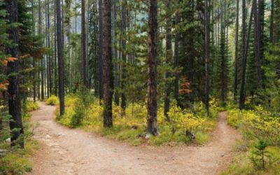 Unleashing Your Decision Making Potential: A Strategy to Overcome Indecisiveness