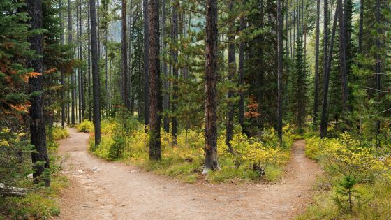 Unleashing Your Decision Making Potential: A Strategy to Overcome Indecisiveness